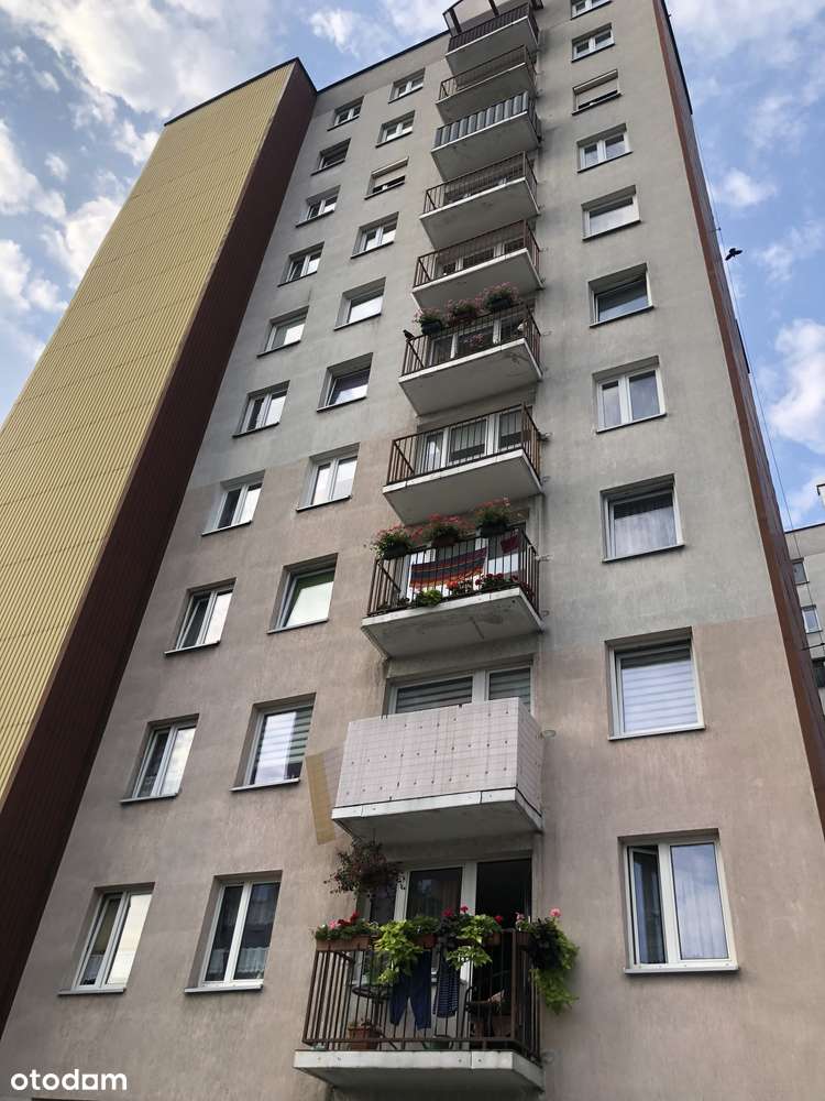 Kawalerka do remontu na Sikorniku-1