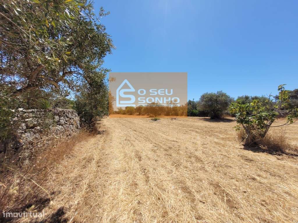 Terreno Rústico Plano - 8.840 m² - Grande imagem: 3/12