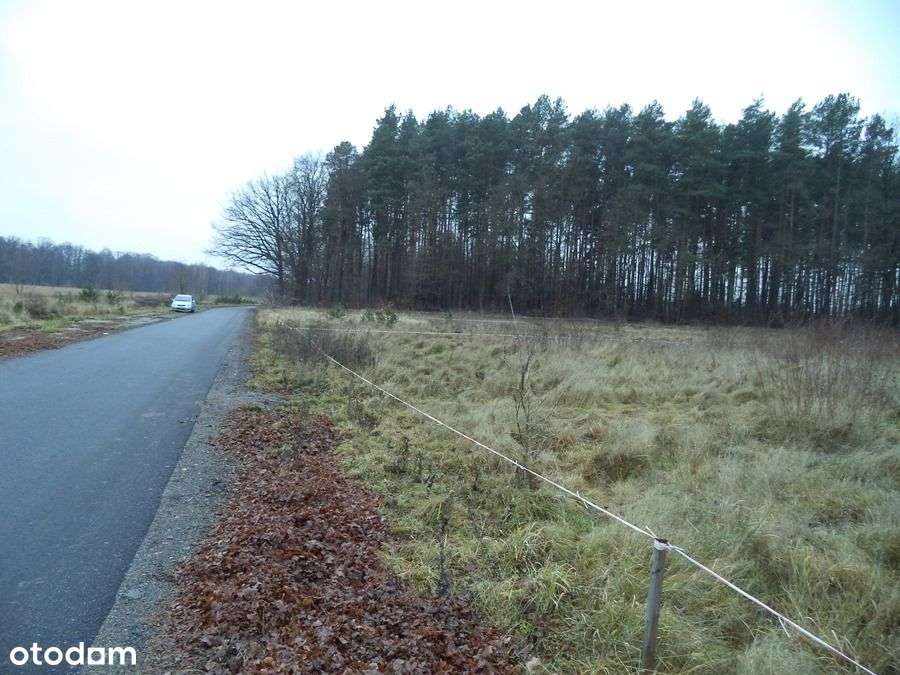 5 działek w Mirostowicach Dolnych - Pełny obrazek: 5/10