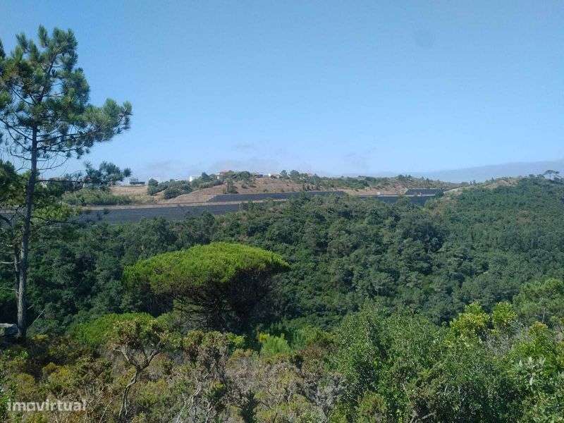 Terreno Rústico com 2.875 m² em Alto Famoes, Mafra. - Grande imagem: 5/7