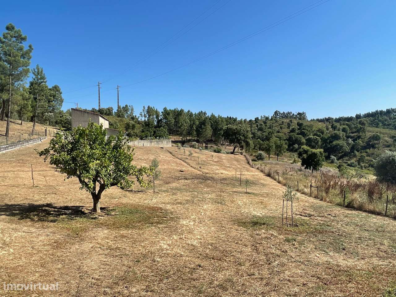 Terreno em Casal da Figueira, Martinchel - Grande imagem: 5/37