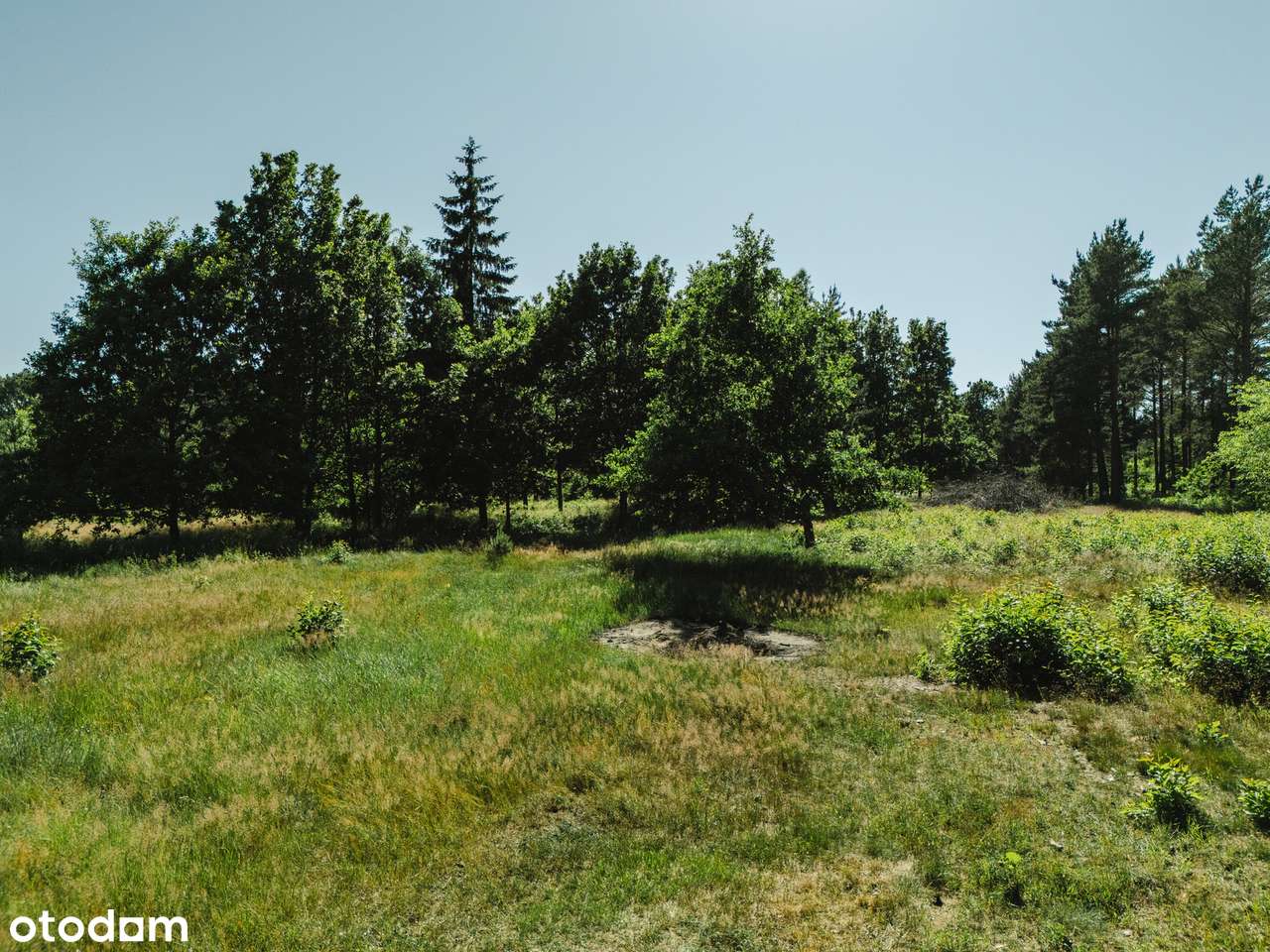 Czarny Młyn - Mieroszyno blisko Jastrzębia Góra - piękna działka WZ-ka - Pełny obrazek: 4/9