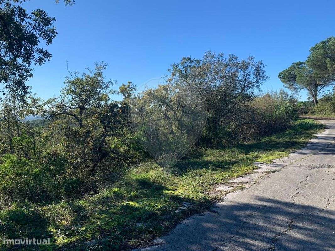 Terreno  para venda - Grande imagem: 4/7