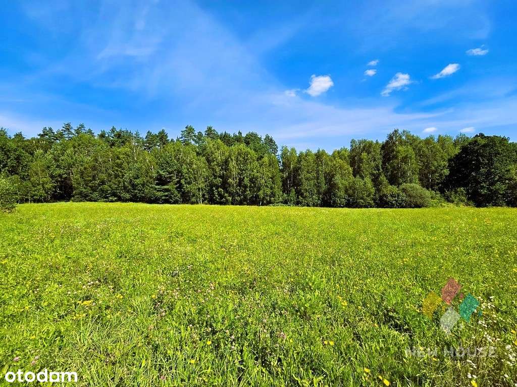 Działka pod zabudowę w otulinie lasu, Patryki - Pełny obrazek: 4/8