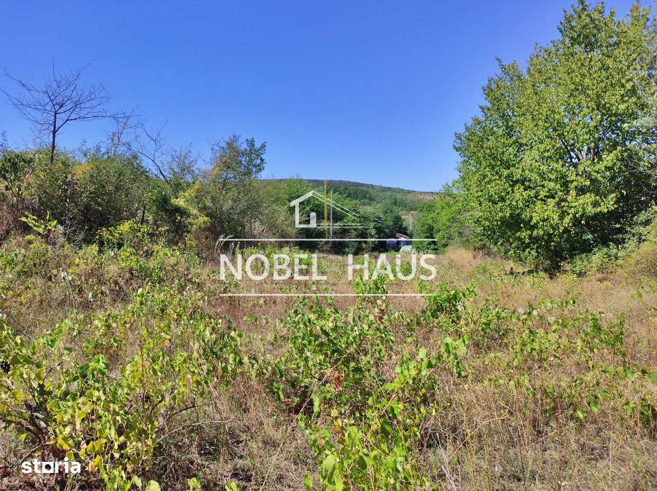 Teren 6200 mp, intravilan, sat Bogesti, comuna Pogana - Imagine principală: 2/7