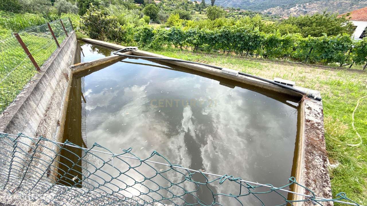 Quinta em Miomães, Resende | Um refúgio rural com cerca de 4 hectares-57