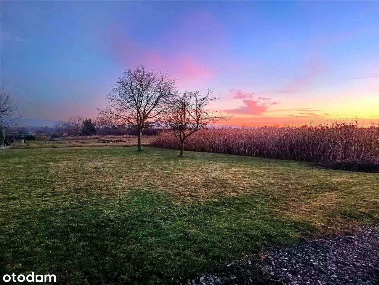 Działki budowlane Goczałkowice Zdrój - Pełny obrazek: 1/8