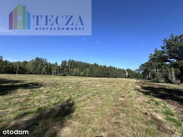 8 działek Budowalnych z wydanymi Wz,Borucza,gm.Str-8