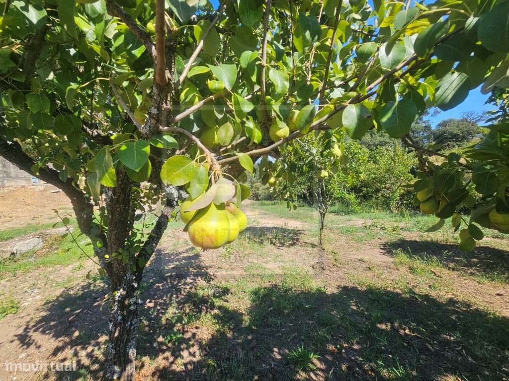 Refúgio em Mafra: Moradia T4 com Grande Potencial de Lazer e Terren...-42