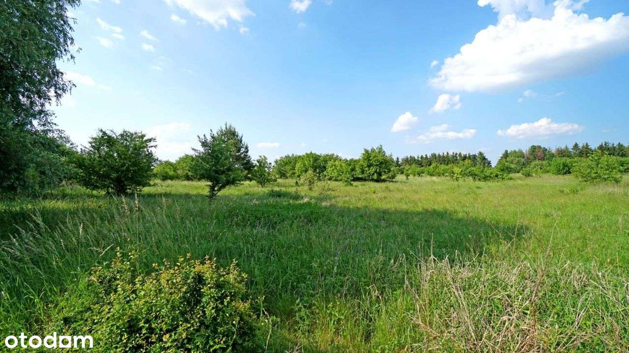 Działka nr 136/56 -Działki "Na wzgórzu" - Pełny obrazek: 5/5