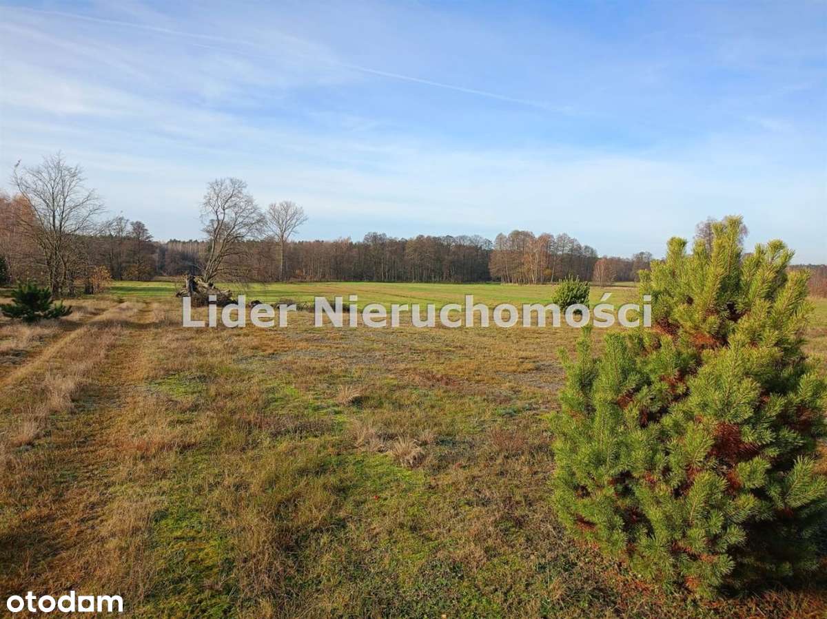 Sielska działka budowlana w Ldzaniu ! Widok na las i rzekę.-1