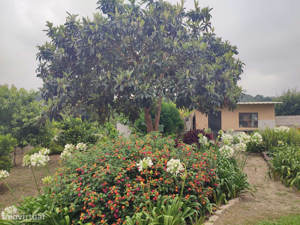 4 casas com tipologias T1, em terreno de  692m2,  à Marina do Freixo-20