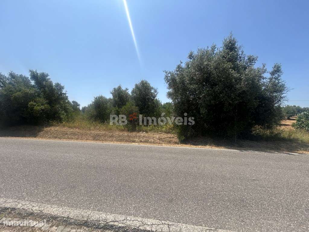 Terreno Rústico com PDM Urbano - Casal da Estrada, Torres Novas - Grande imagem: 4/15