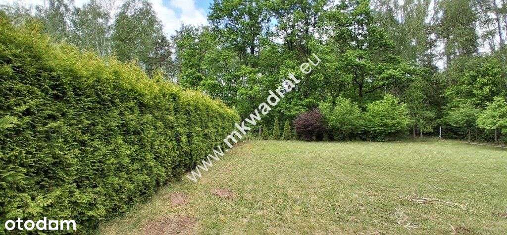 Nowa cena! OkazjaDom 306 m² z dużą działką 3143 m²-17