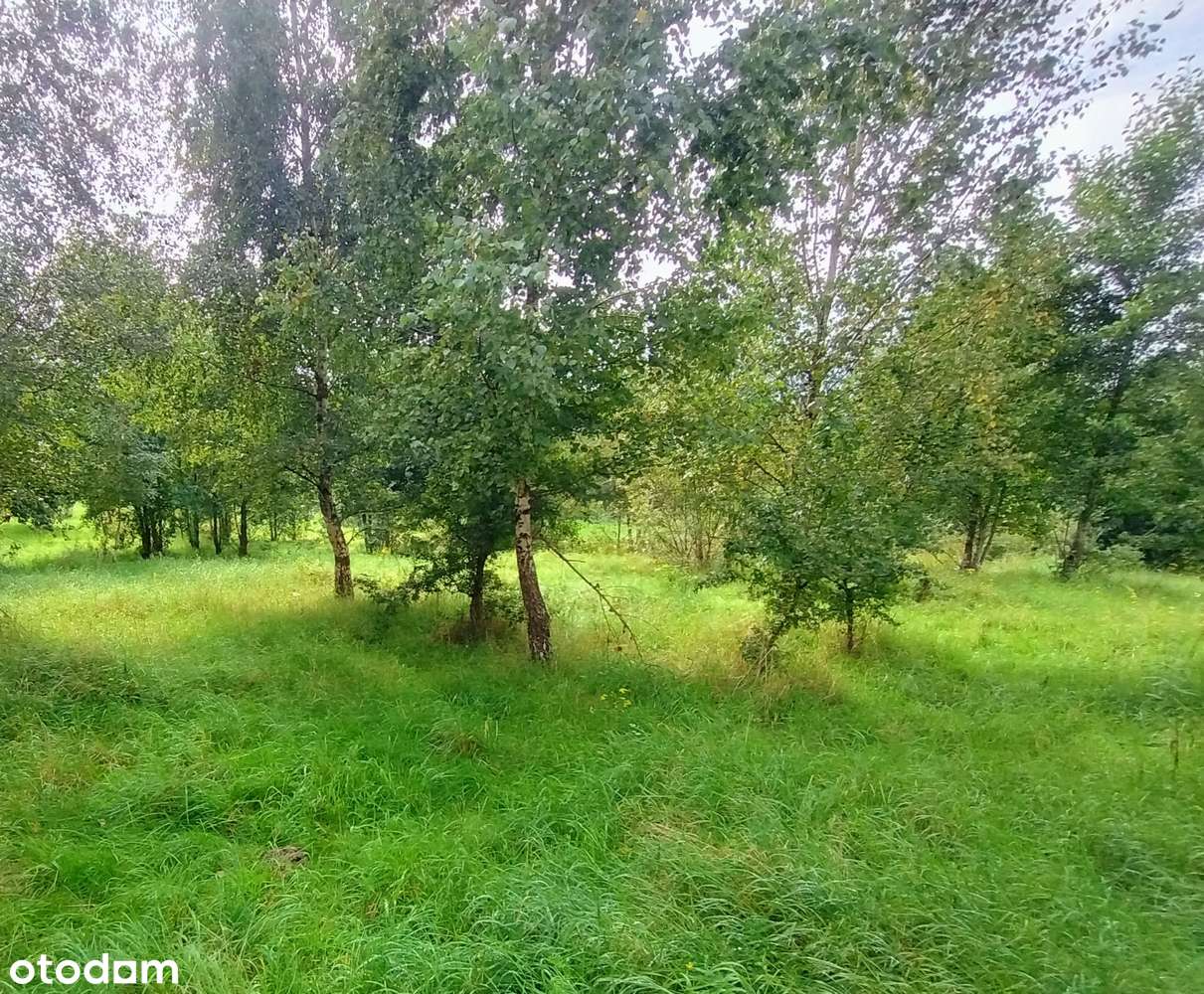 Działka z przeznaczeniem wypoczynkowym w pięknej okolicy - Pełny obrazek: 5/6