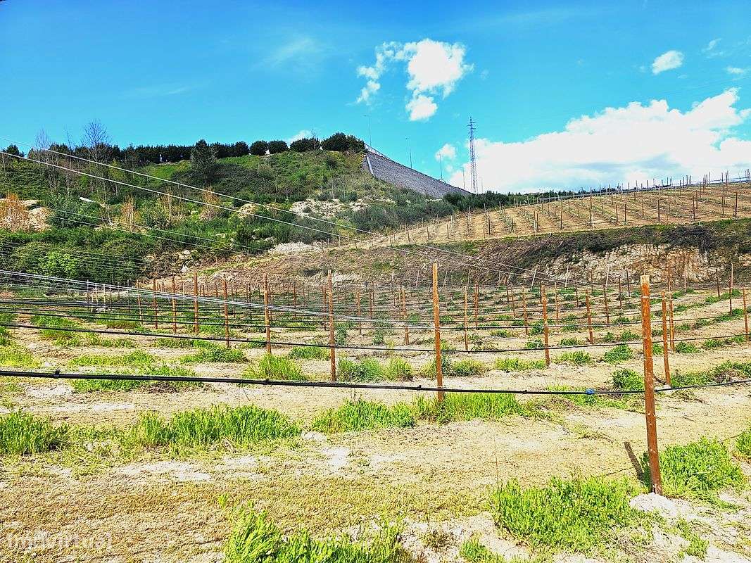 Herdade  para venda - Grande imagem: 2/13