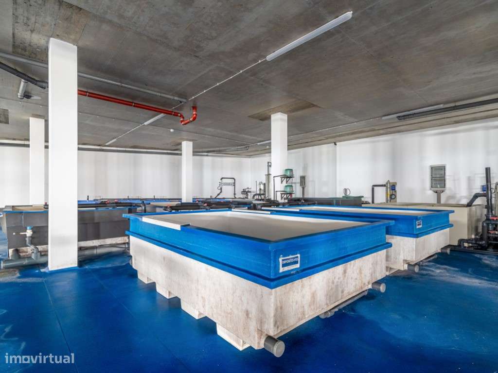 Edifício 1ª linha de mar - Peniche - opções múltiplas de investimento-34