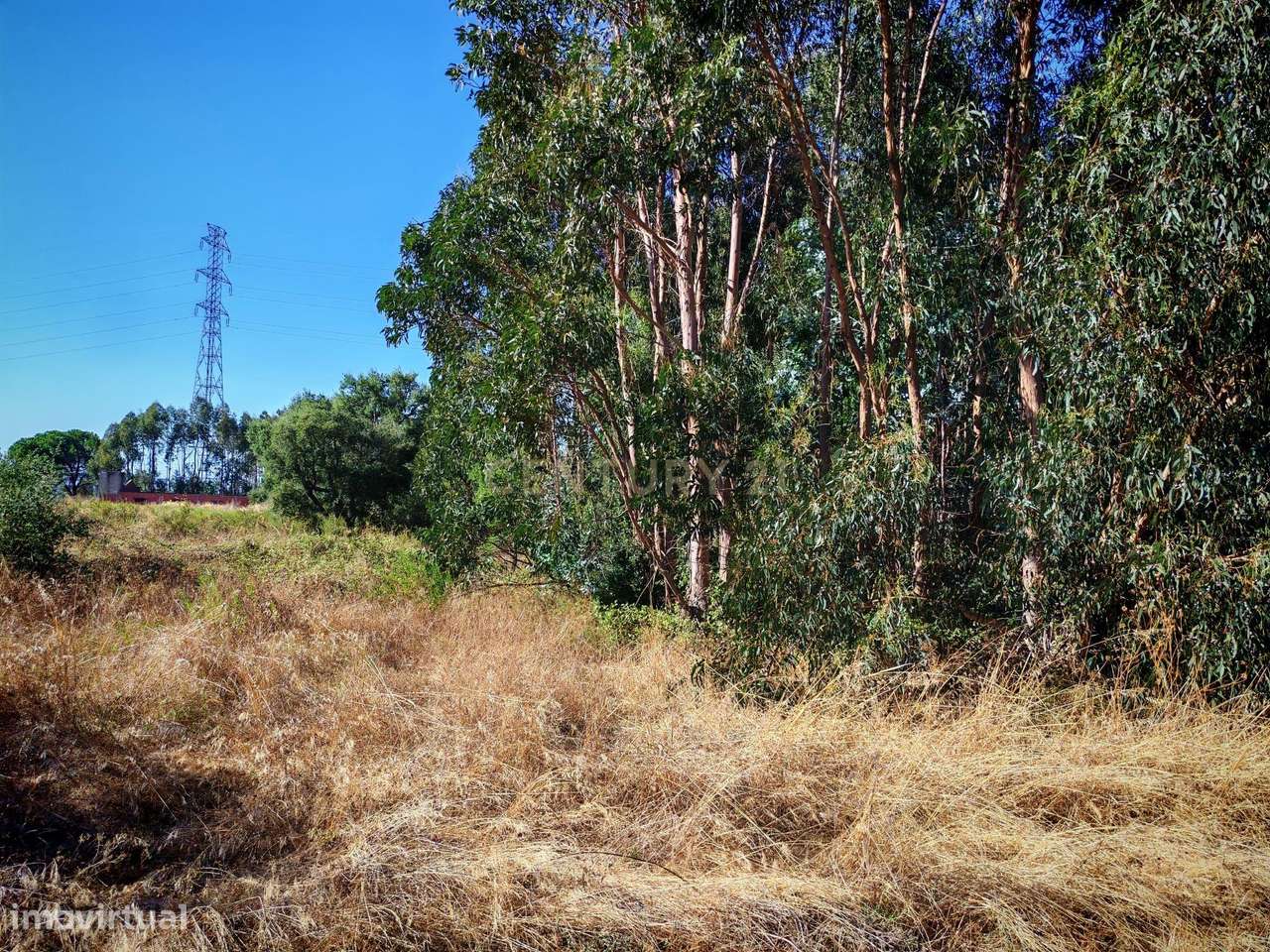 Terreno rústico com 13250 m2 em Brejo do Abade - Quinta do Anjo - Palm - Grande imagem: 4/12