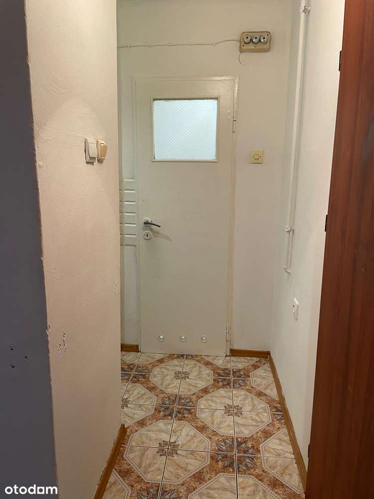 Kawalerka na parterze z osobną kuchnią - Pełny obrazek: 4/10