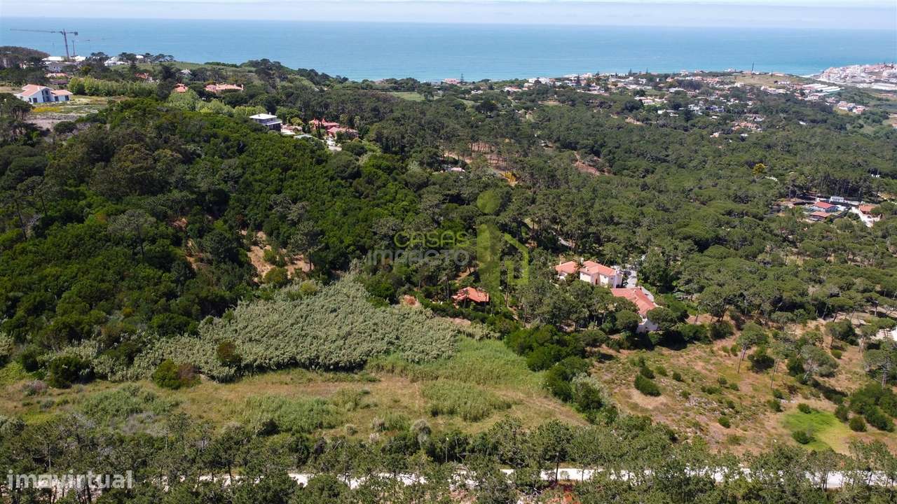 Terreno Rustico com 3.000m2 em Colares-15