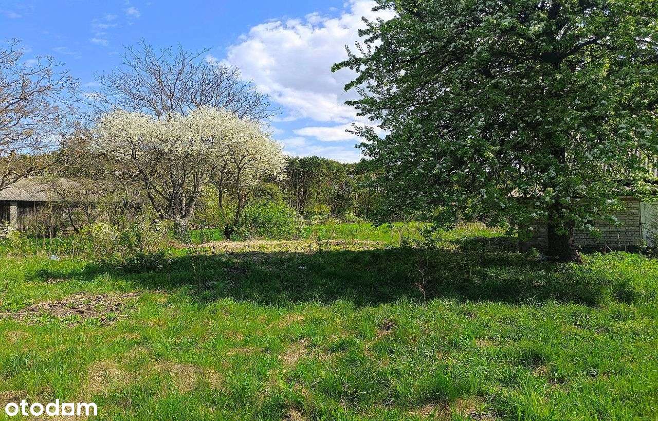 Siedlisko Pniówek, 3 km od Zamościa - Pełny obrazek: 5/19