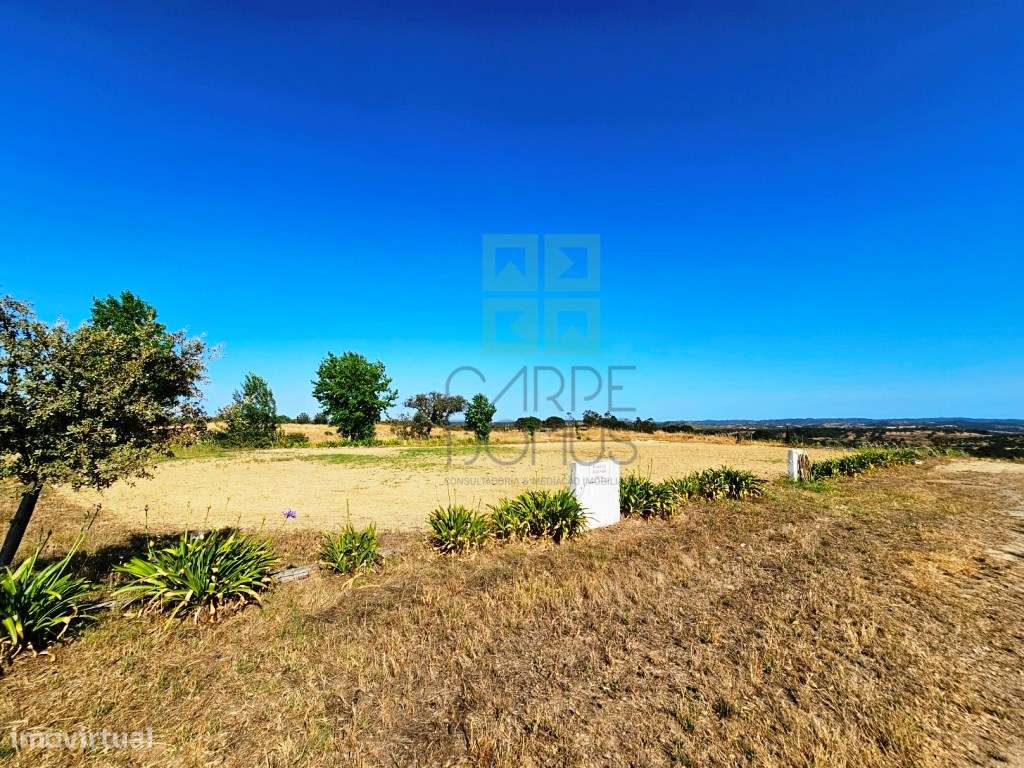 Herdade equestre com moradia T5 e piscina, 93,5ha, em Ourique, Alen...-20