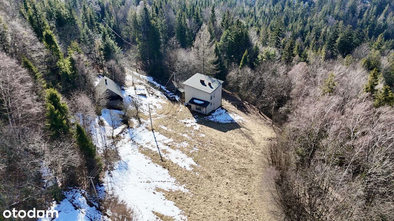 Dwa domy na działce 48 arów w Wiśle-3