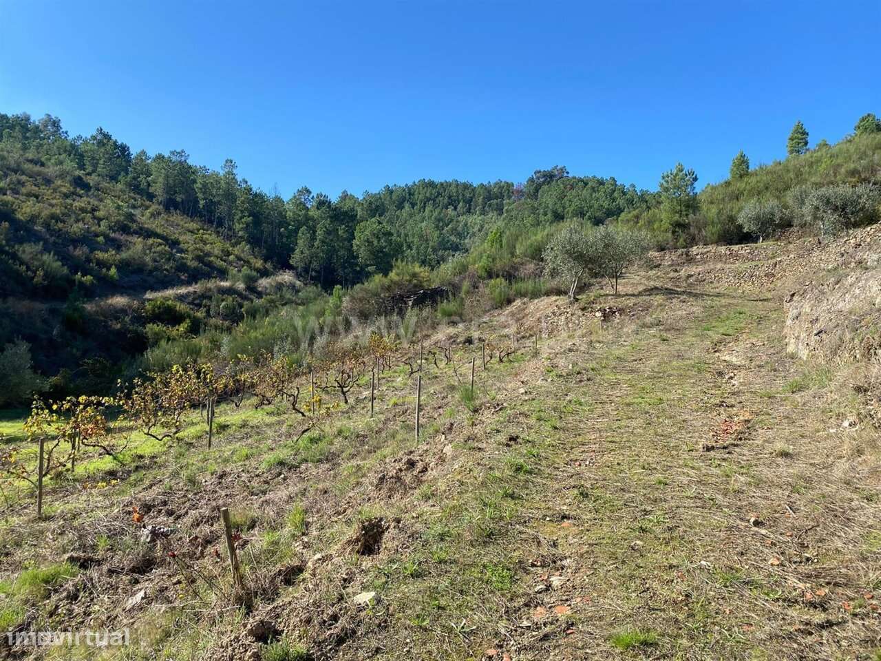 Quintinha / Fundão, Castelejo - Grande imagem: 3/12