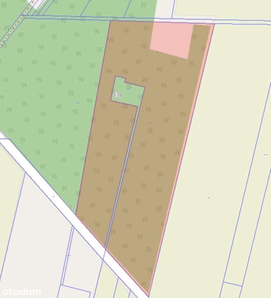 Grunty rolne o powierzchni 4,52 ha w Skrzeszewie na sprzedaż! - Pełny obrazek: 5/6