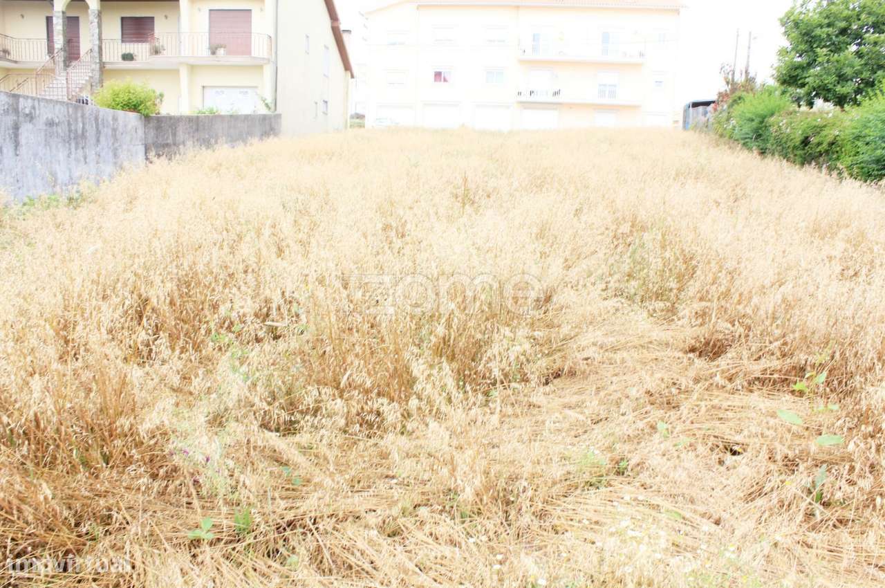 Terreno para Construção| Penacova| Coimbra - Grande imagem: 4/9
