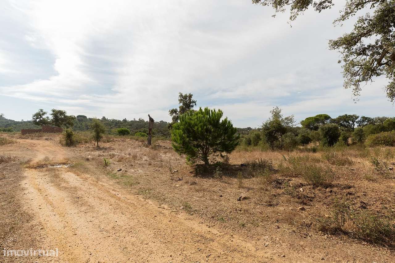 Terreno 53.0 ha, Santiago do Cacem - Grande imagem: 5/16