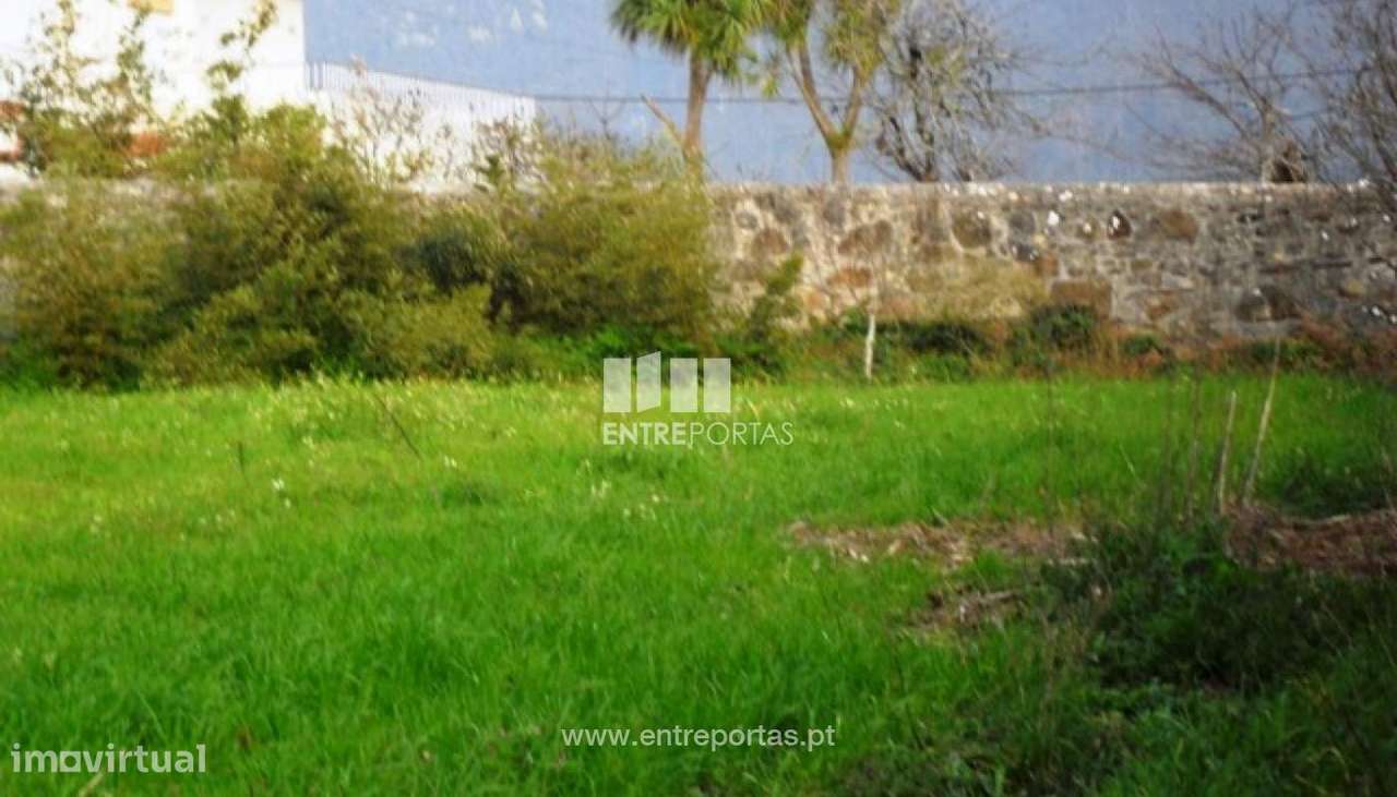 Terreno - Carreço - Grande imagem: 2/6