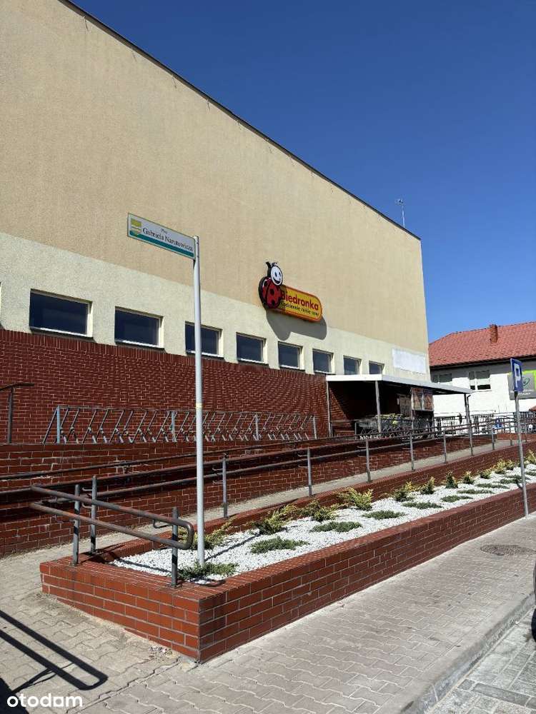 Duży lokal z parkingiem - Pełny obrazek: 2/20