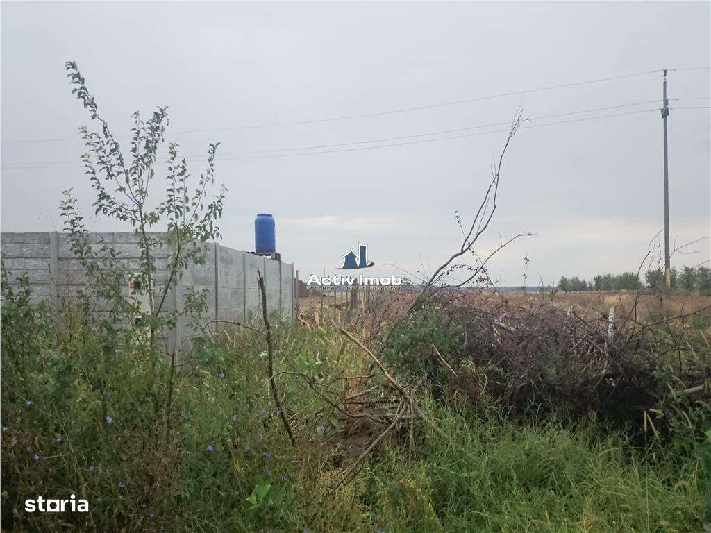 teren intravilan,  5000mp, Ciolpani - accept schimb - Imagine principală: 3/6