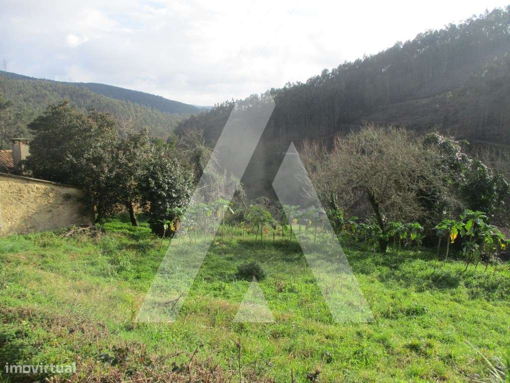 Terreno na zona de Anadia - Grande imagem: 3/7