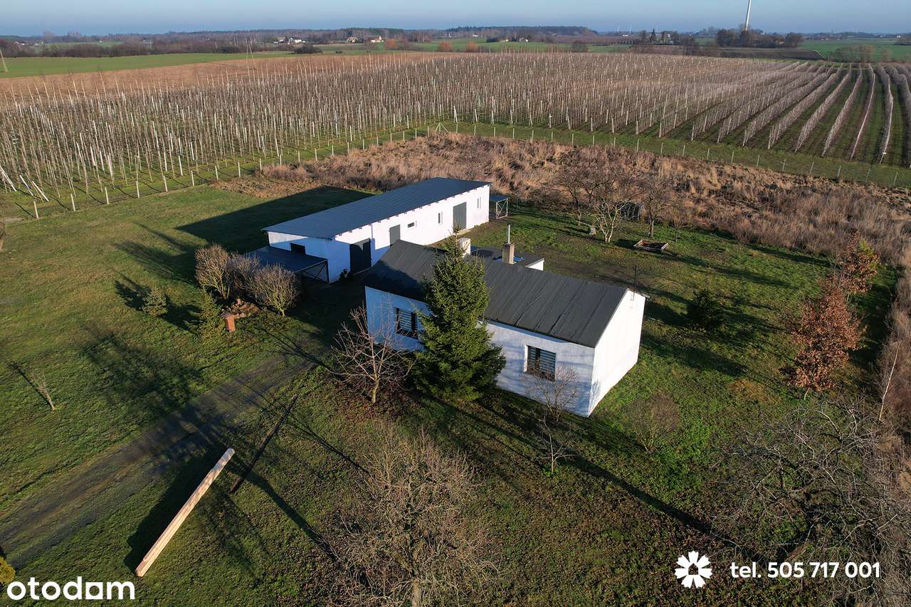 Siedlisko na Kujawach z dużą działką - Pełny obrazek: 3/17