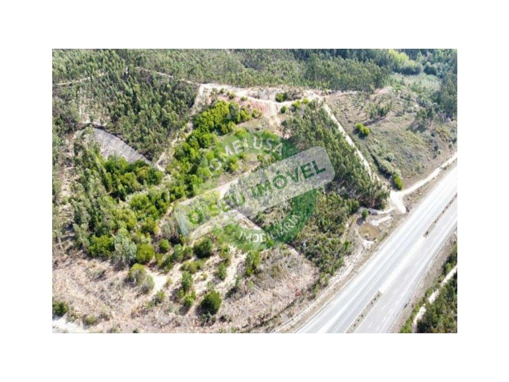 Terreno Rústico à saída da A14 - Grande imagem: 4/6