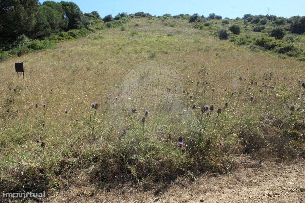 Terreno  para venda - Grande imagem: 3/22