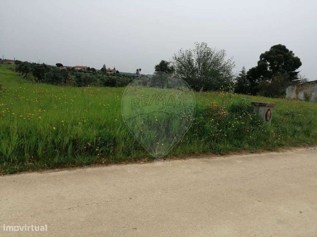 Terreno  para venda - Grande imagem: 5/5