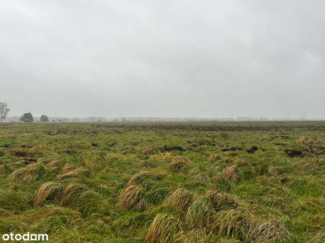 Na sprzedaż działka rolna – Goleniów / Stepnica-4