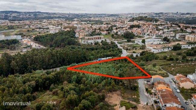 Terreno com PIP aprovado para 13 Armazéns - Grande imagem: 4/6