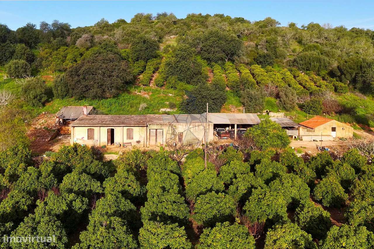 Quinta de 6,7ha com dois urbanos  na Mexilhoeira Grande - Grande imagem: 4/32