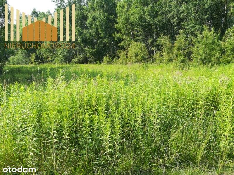 619339 - Pełny obrazek: 4/6