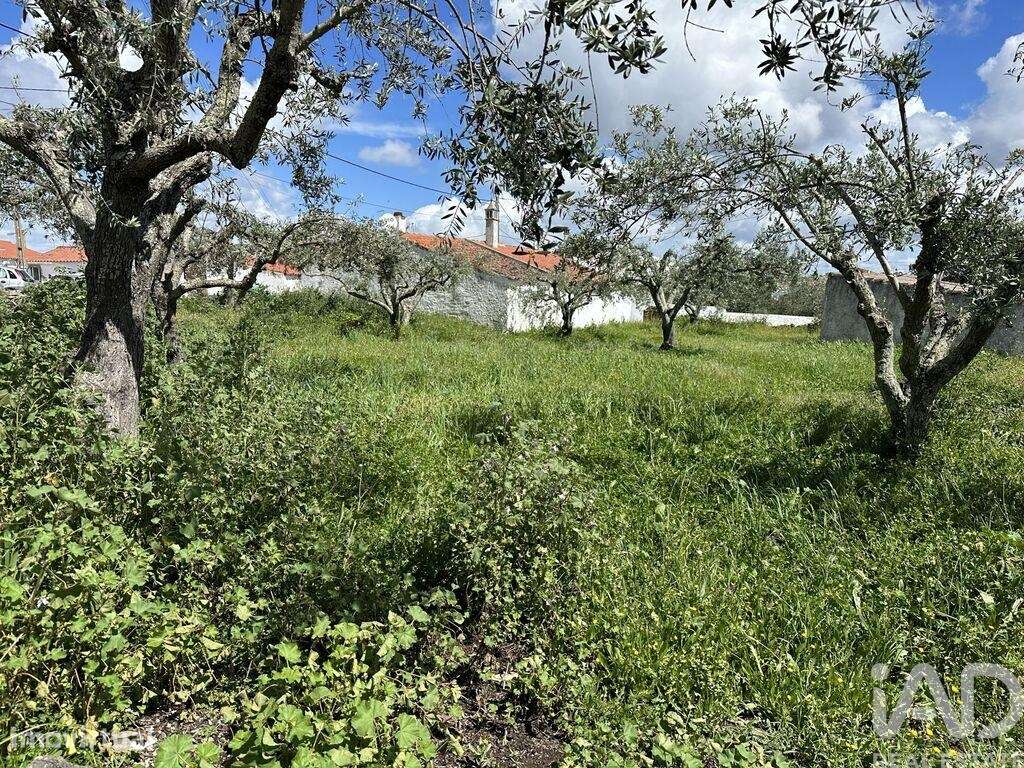 Terreno em Santa Cruz de 645,00 m2 - Grande imagem: 4/8