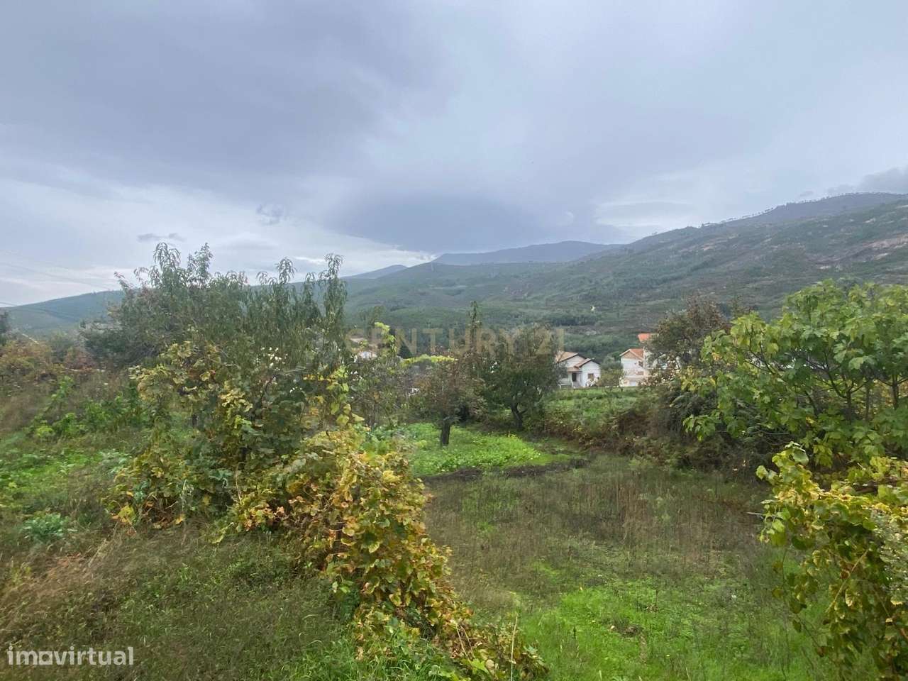 Terreno em Cortes do Meio - Covilhã - Grande imagem: 3/9