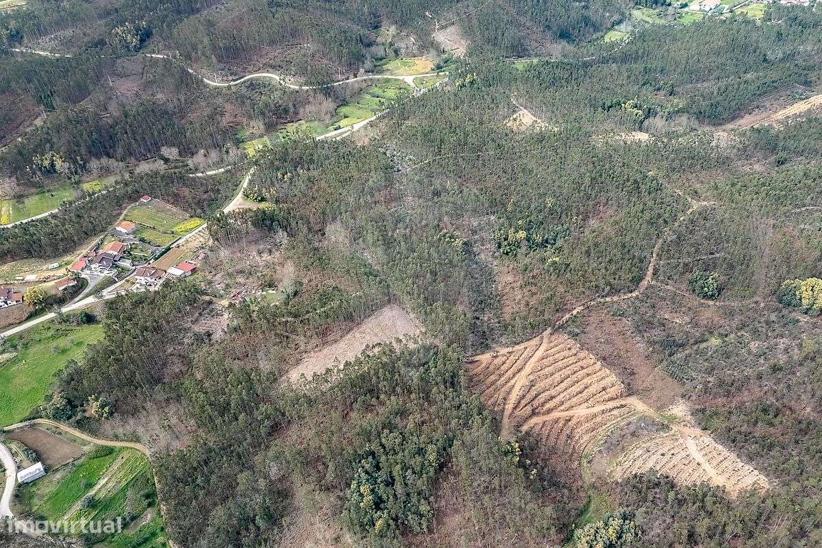 Terreno  para venda-11
