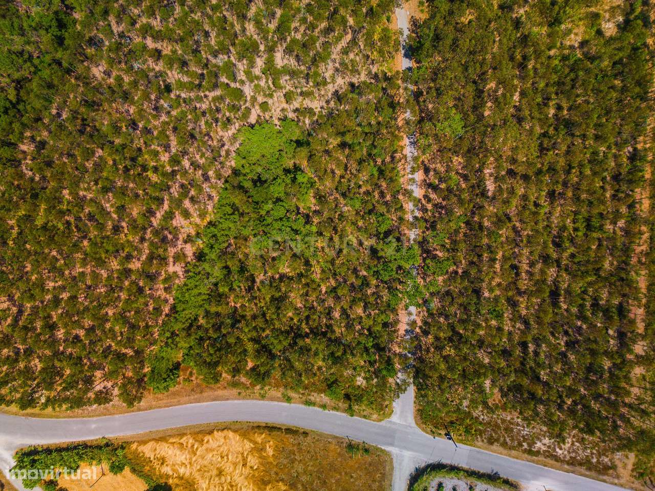 Terreno rustico, Nadadouro-5
