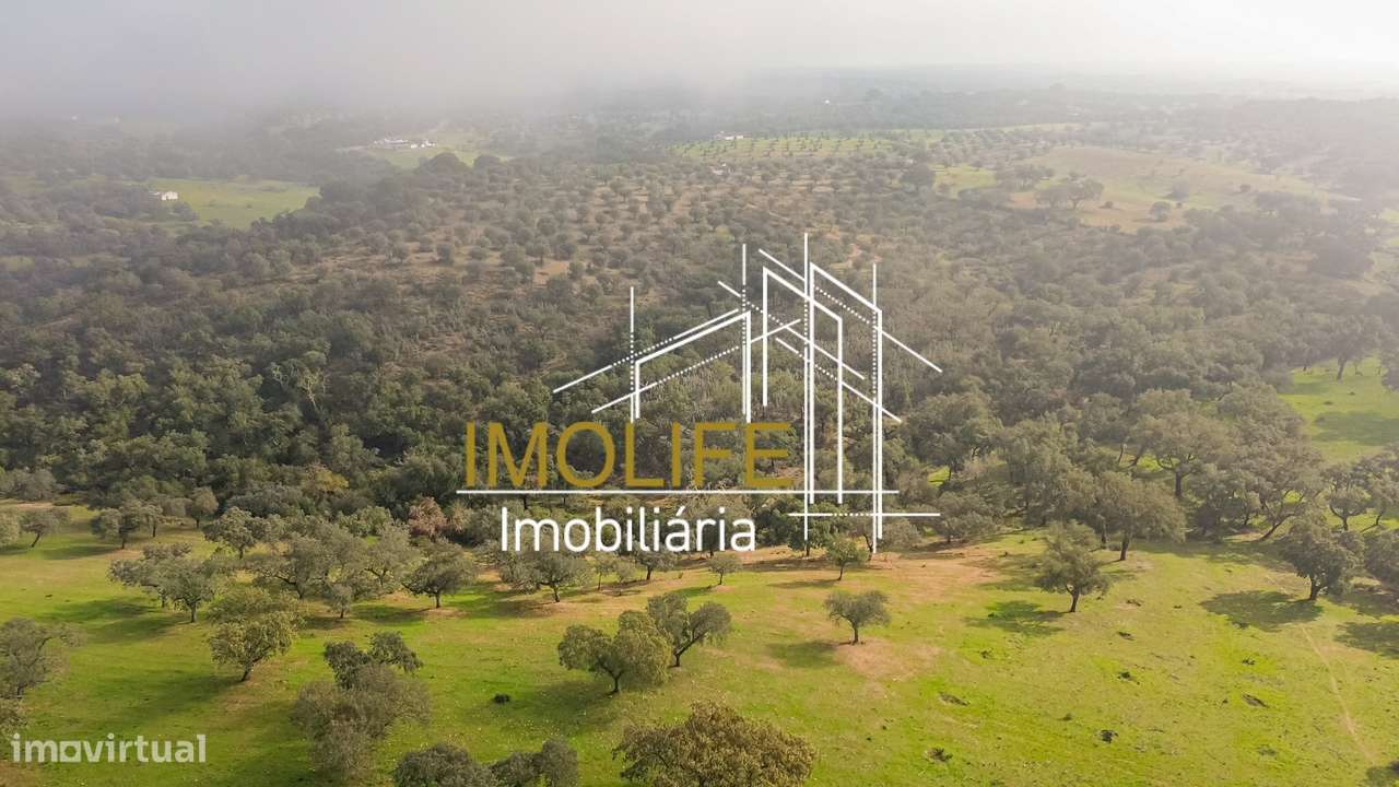 MONTINHO DO CHIADO - MALARRANHA - PAVIA-18