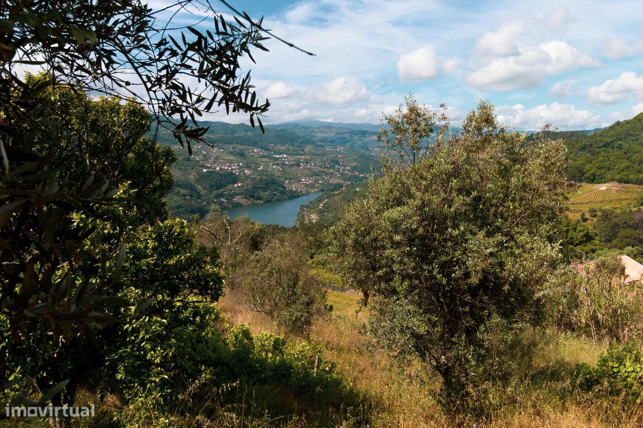 Quintinha com Vista para o Rio Douro – Baião-10