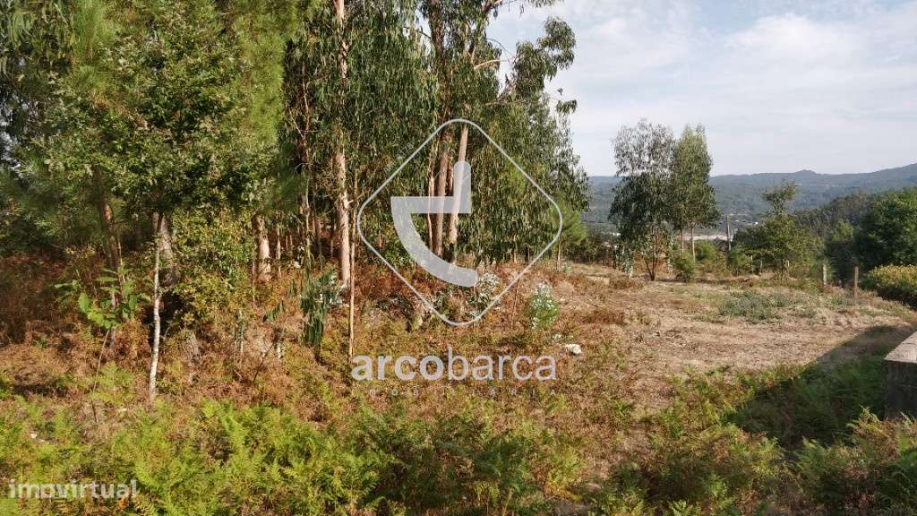 Terreno com 2500m2 - em zona de urbanização (possibilidade de construç - Grande imagem: 5/6